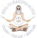 BBQ Cleaning Guru