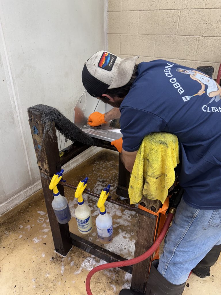 Image - 2026-03-10T113221.079